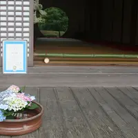 明月院（あじさい寺）の写真・動画_image_82670