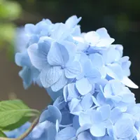 北鎌倉駅の写真・動画_image_82671