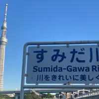東京スカイツリーの写真・動画_image_826735