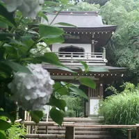 浄智寺の写真・動画_image_82676