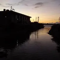 名護の海の写真・動画_image_82683