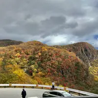 いろは坂の写真・動画_image_826878