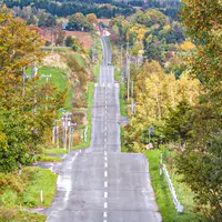 ジェットコースターの路の写真・動画_image_828333