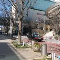 六本木けやき坂通りの写真・動画_image_82956