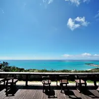 カフェくるくまの写真・動画_image_83018