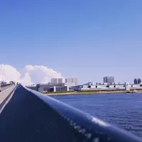 豊洲大橋の写真・動画_image_830994