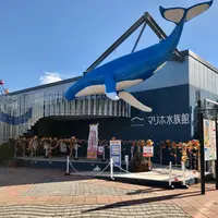 マリホ水族館の写真・動画_image_834376