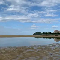 父母ヶ浜海岸の写真・動画_image_834723