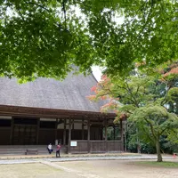 飯高寺（飯高檀林跡）の写真・動画_image_836584