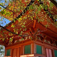 多宝塔の写真・動画_image_838280