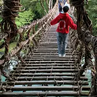 祖谷のかずら橋の写真・動画_image_840582