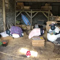 ローザンベリー多和田の写真・動画_image_840834