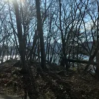 中禅寺湖の写真・動画_image_841378