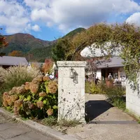 富士大石ハナテラスの写真・動画_image_841573