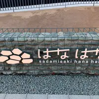 佐田岬はなはなの写真・動画_image_841977
