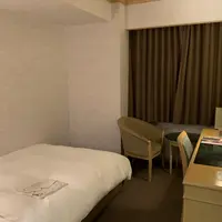 オオズプラザホテルの写真・動画_image_841979