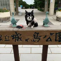 城ヶ島公園の写真・動画_image_842491