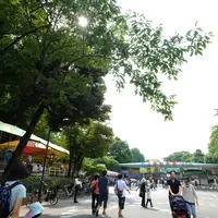上野恩賜公園（上野公園）の写真・動画_image_84256