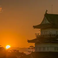 小田原城八幡山古郭東曲輪の写真・動画_image_84288