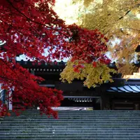 大雄山最乗寺の写真・動画_image_84341