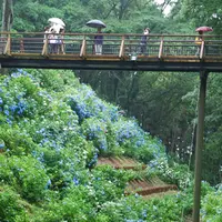 黒羽城址公園の写真・動画_image_84396