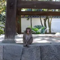 早雲寺の写真・動画_image_84399