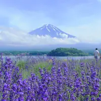 大石公園の写真・動画_image_84440