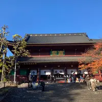 日光東照宮の写真・動画_image_847866