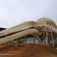 和田浦の写真・動画_image_84810