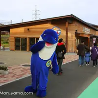 道の駅 和田浦WA・O！の写真・動画_image_84811