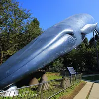 国立科学博物館の写真・動画_image_84812