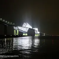 東京ゲートブリッジの写真・動画_image_84814