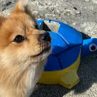 波の上うみそら公園の写真・動画_image_848423