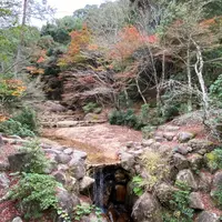 紅葉谷公園の写真・動画_image_848496