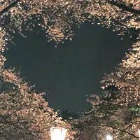 弘前城の写真・動画_image_848853