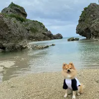 兼久ビーチの写真・動画_image_849513