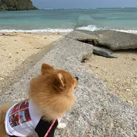 ウクン浜の写真・動画_image_849514