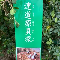 連道原貝塚の写真・動画_image_849933