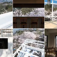 ASUWAYAMA DECKの写真・動画_image_85019