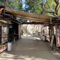 城見茶屋の写真・動画_image_850315