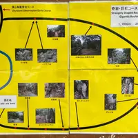 大石林山の写真・動画_image_850576