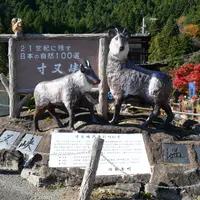 寸又峡の写真・動画_image_851037