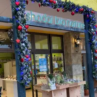 shodai bio nature北谷店の写真・動画_image_851364