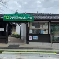 つやま自然のふしぎ館の写真・動画_image_852979