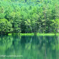 御射鹿池の写真・動画_image_85341
