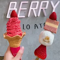 いちごBonBonBerry熱海ハウスの写真・動画_image_854325