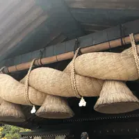 出雲大社の写真・動画_image_855608