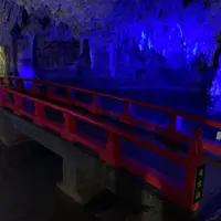 満奇洞の写真・動画_image_856411