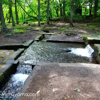 三分一湧水館の写真・動画_image_85655