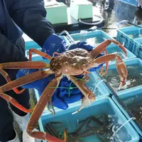 舞鶴西港の写真・動画_image_857107